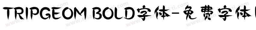 TRIPGEOM BOLD字体字体转换